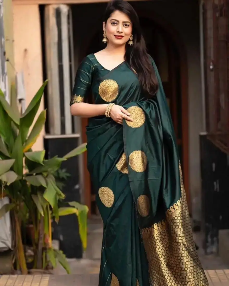 afsan-skin-print-saree-1