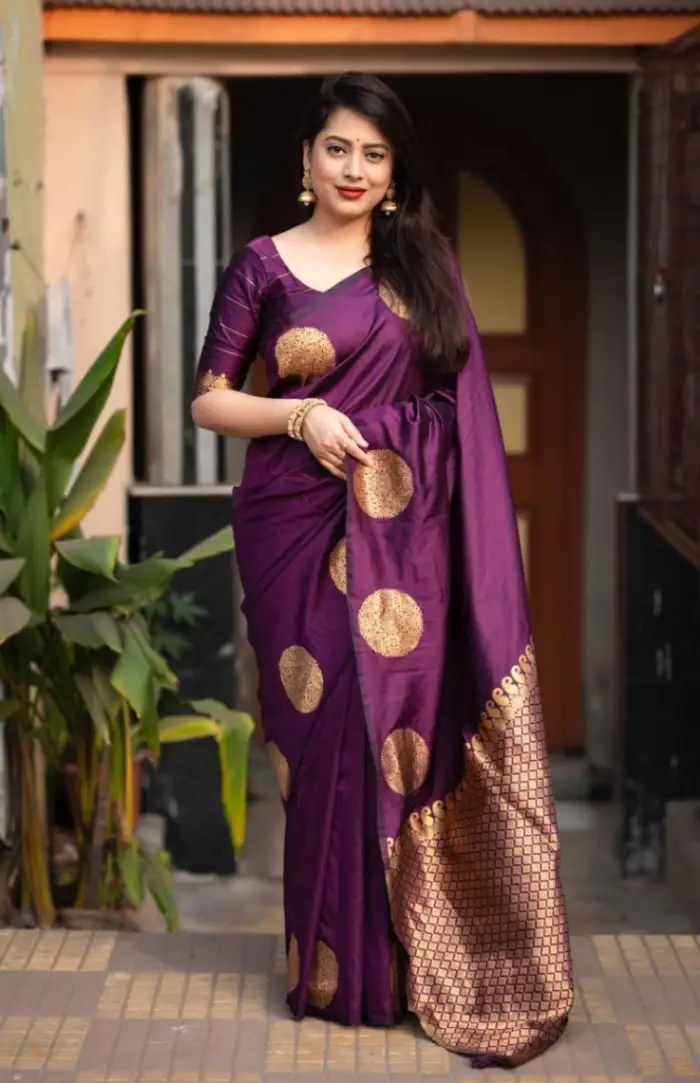 afsan-skin-print-saree-1 (perple)