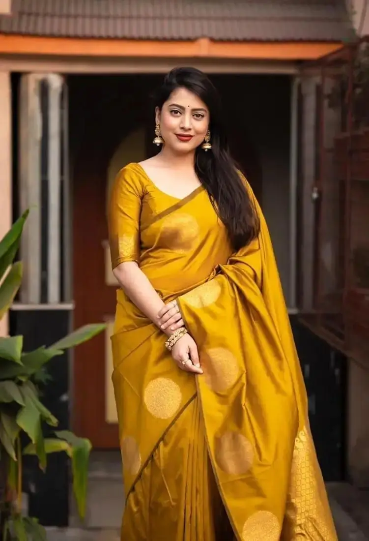 afsan-skin-print-saree-golden